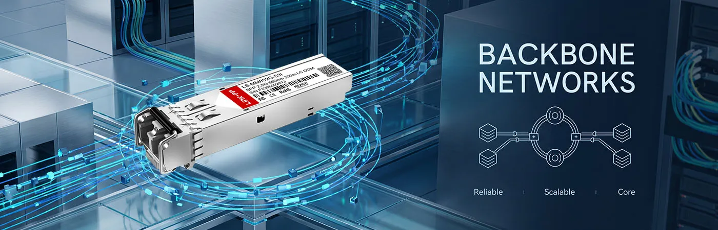 LS-MM852G-S3I: 2.5G Connectivity for Backbone Networks