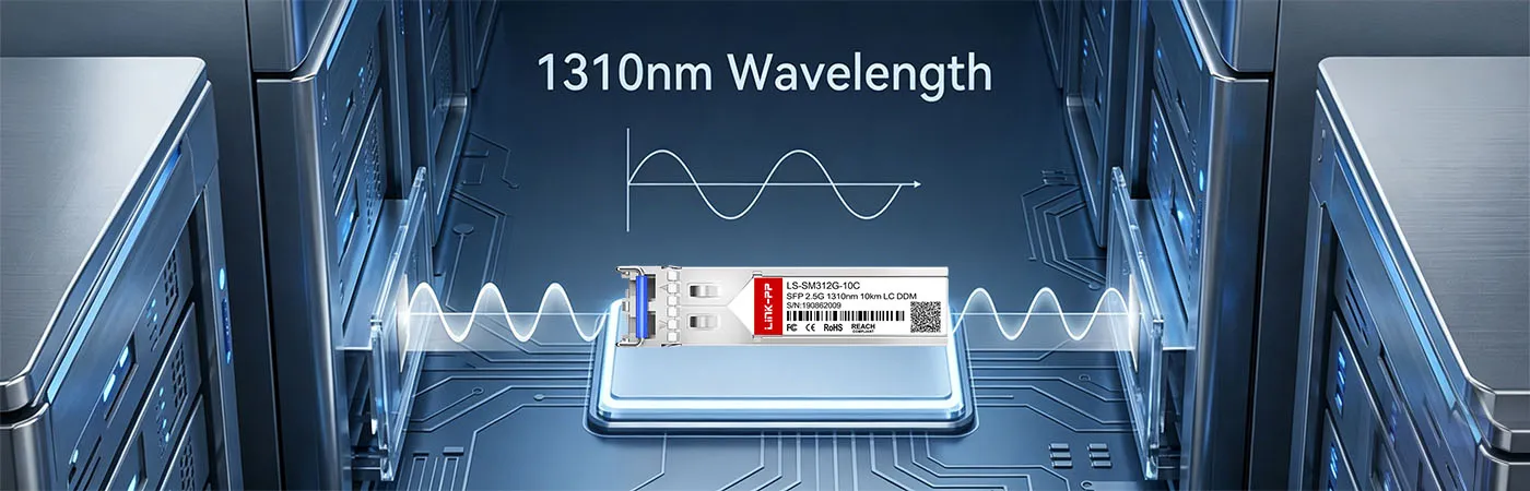 DS-SFP-FC-2G-LW Module with 1310nm Wavelength