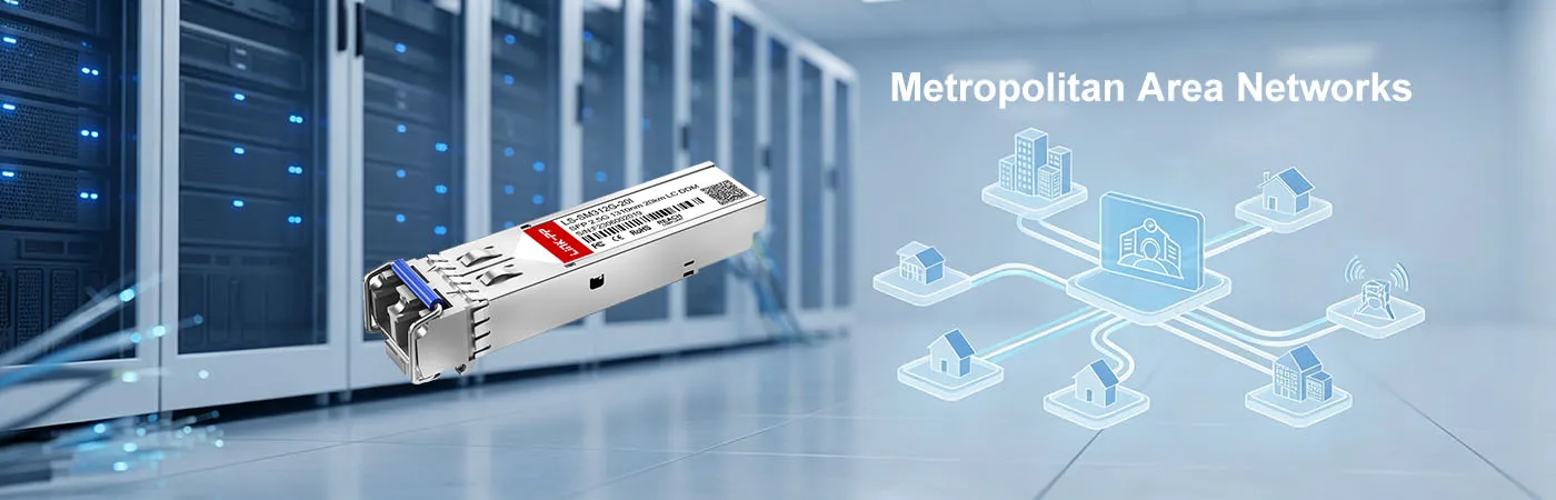 LS-SM312G-20I: 2.5G Connectivity for Metropolitan Area Networks