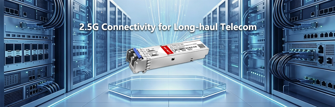 LS-SM312G-40I: 2.5G Connectivity for Long-haul Telecom