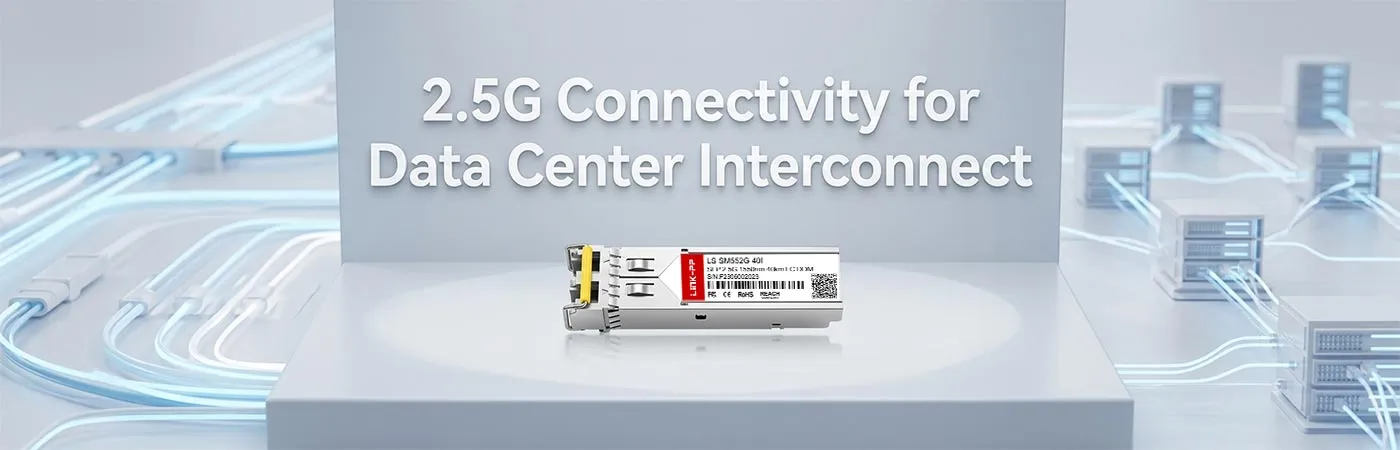 LS-SM552G-40I: 2.5G Connectivity for Data Center Interconnect