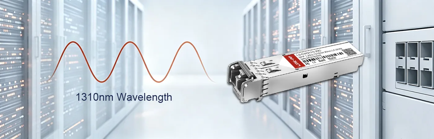 Module LS-CW311G-20C avec une longueur d'onde de 1310 nm