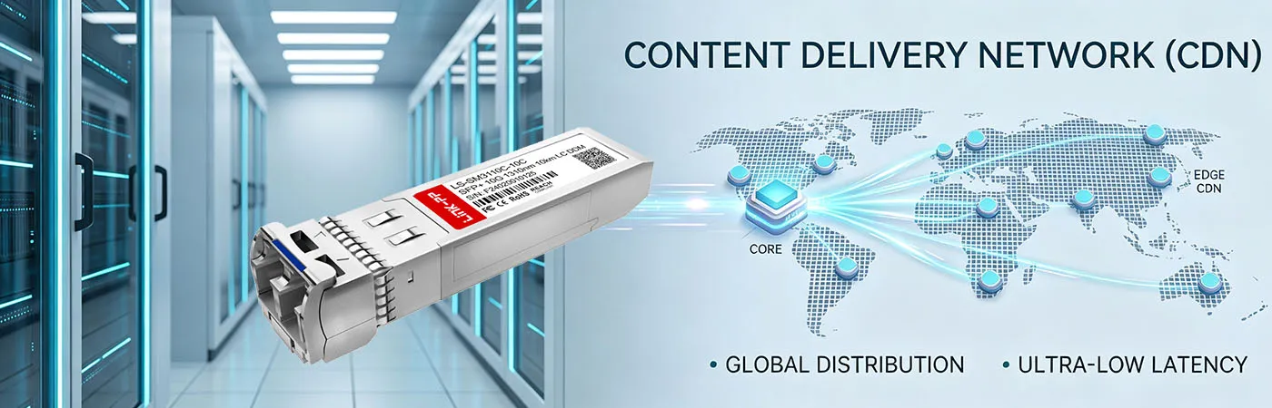 LS-SM3110C-10C: 10G Connectivity for Content Delivery Network