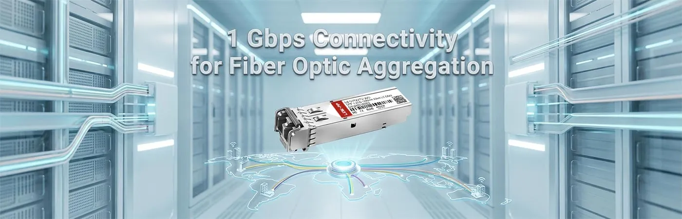 LS-CW291G-20C: 1 Gbps Connectivity for Fiber Optic Aggregation