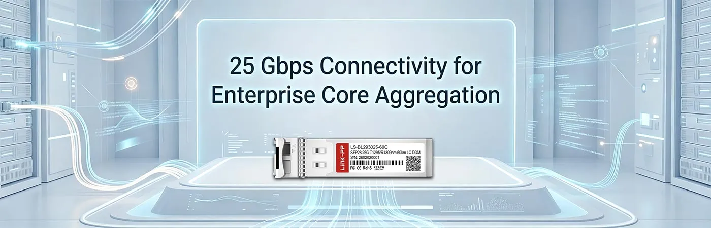 LS-BL293025-60C: 25 Gbps Connectivity for Enterprise Core Aggregation