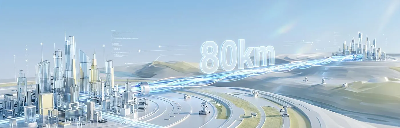 LS-DW3010-80C Module Supporting 80km Transmission