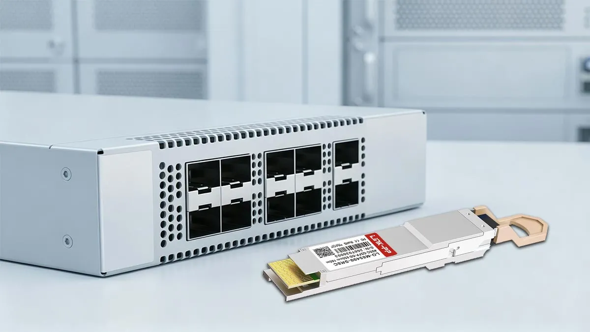 LINK-PP LO-M85400-SR8C 400G OSFP Usage Demonstration