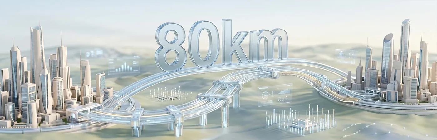 LS-DW2510-80C Module Supporting 80km Transmission