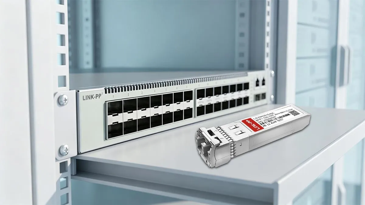 LINK-PP LS-DW2510-80C 10G SFP+ Usage Demonstration