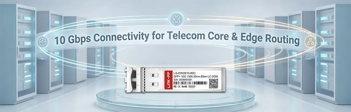 LS-DW2610-80C: 10 Gbps Connectivity for Telecom Core & Edge Routing