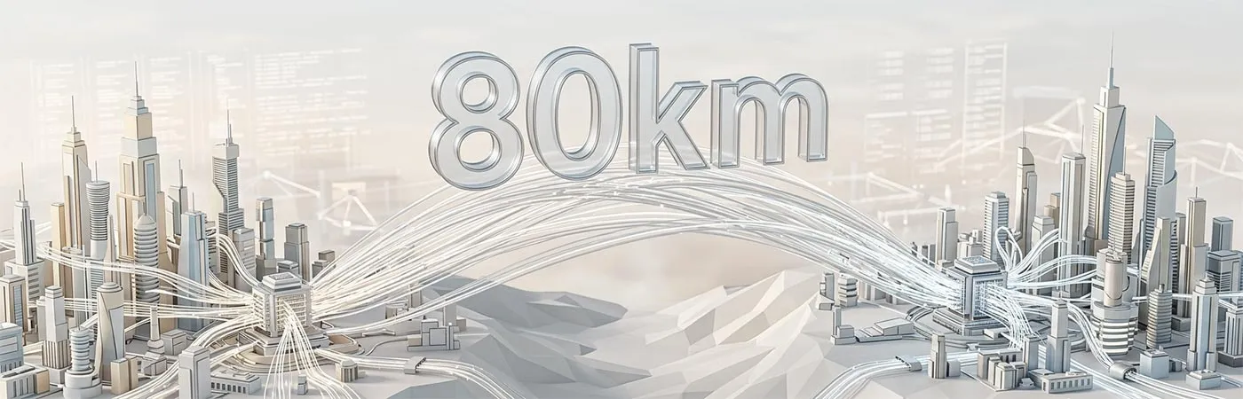 LS-DW2610-80C Module Supporting 80km Transmission