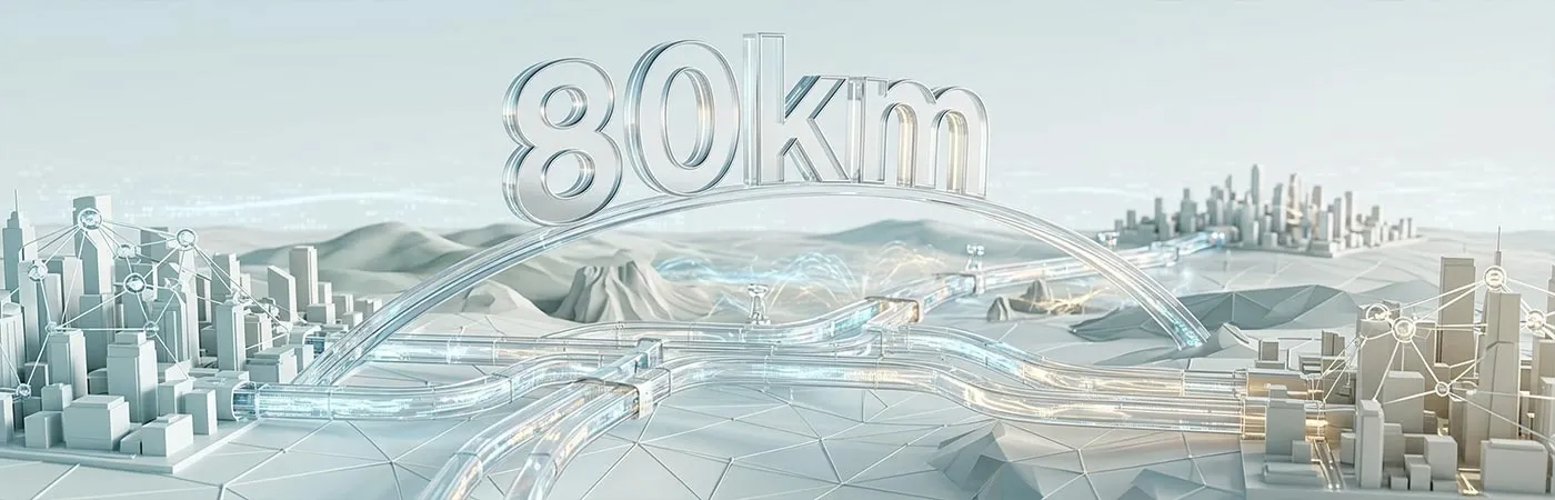 LS-DW2710-80C Module Supporting 80km Transmission