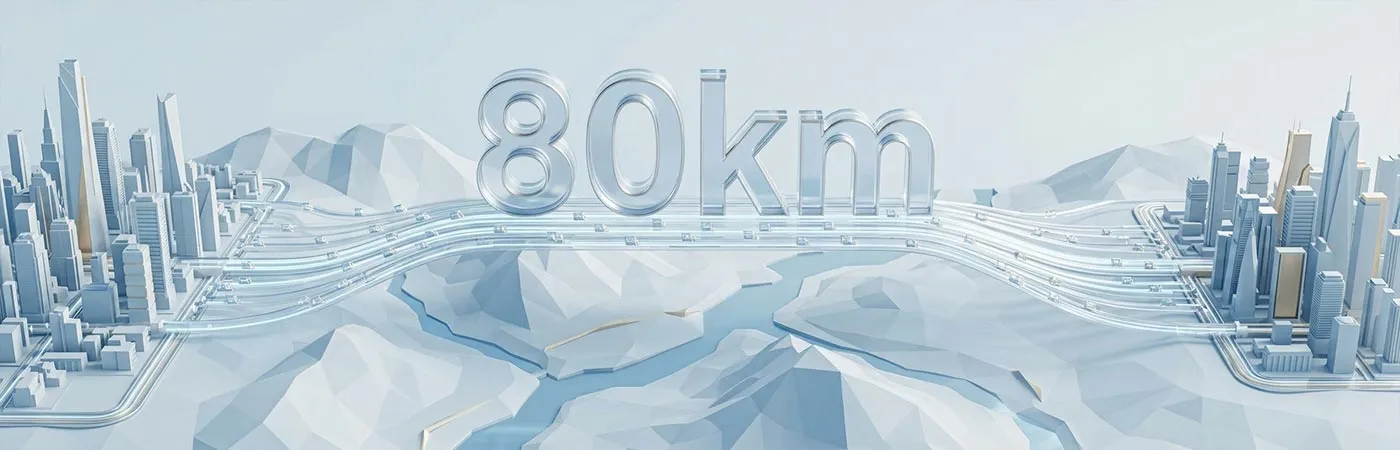 LS-DW2810-80C Module Supporting 80km Transmission