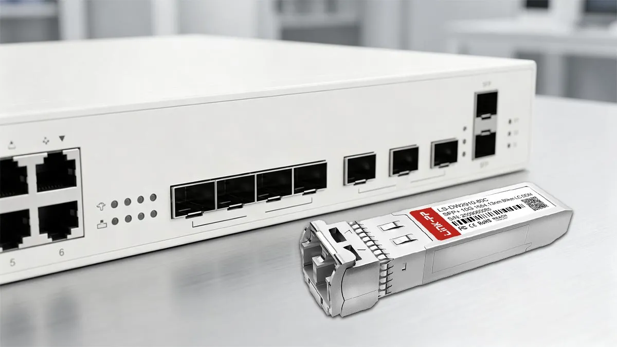 LINK-PP LS-DW2910-80C 10G SFP+ Usage Demonstration