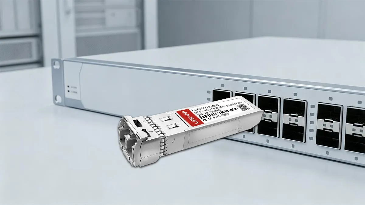 LINK-PP LS-DW3110-80C 10G SFP+ Usage Demonstration