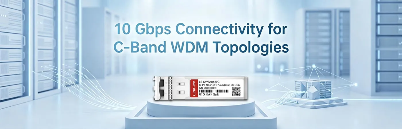 LS-DW3210-80C: 10 Gbps Connectivity for C-Band WDM Topologies