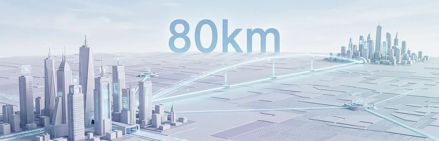 LS-DW3210-80C Module Supporting 80km Transmission