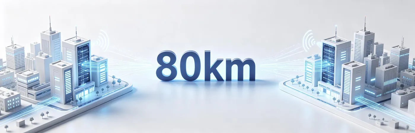LS-DW3410-80C Module Supporting 80km Transmission