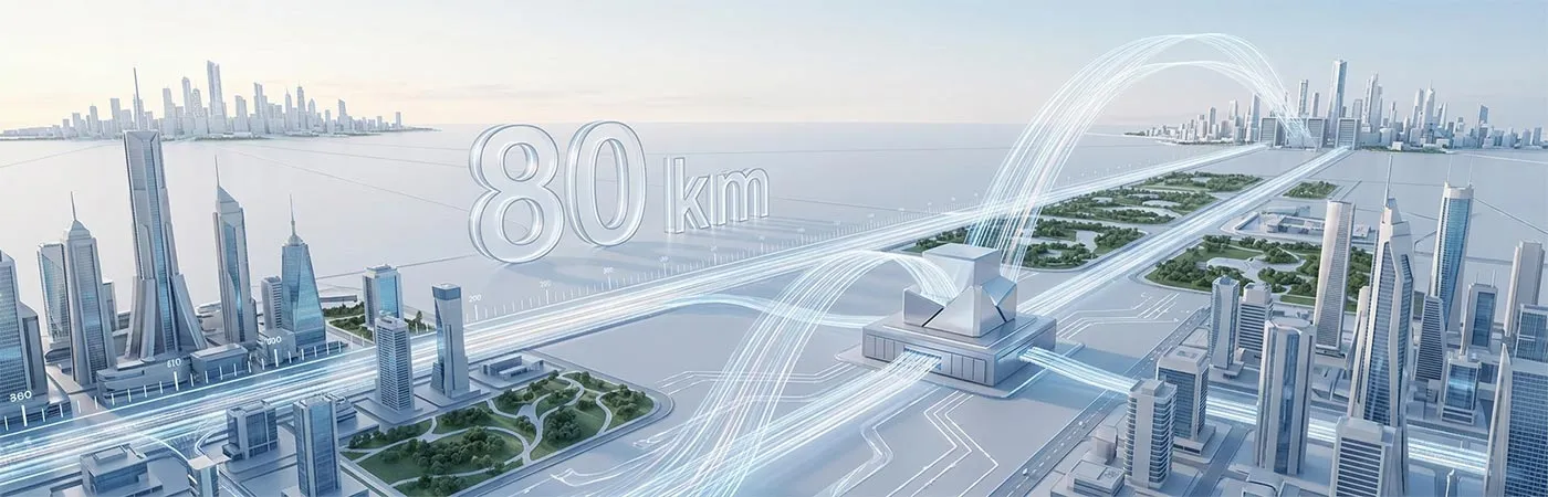 LS-DW3510-80C Module Supporting 80km Transmission