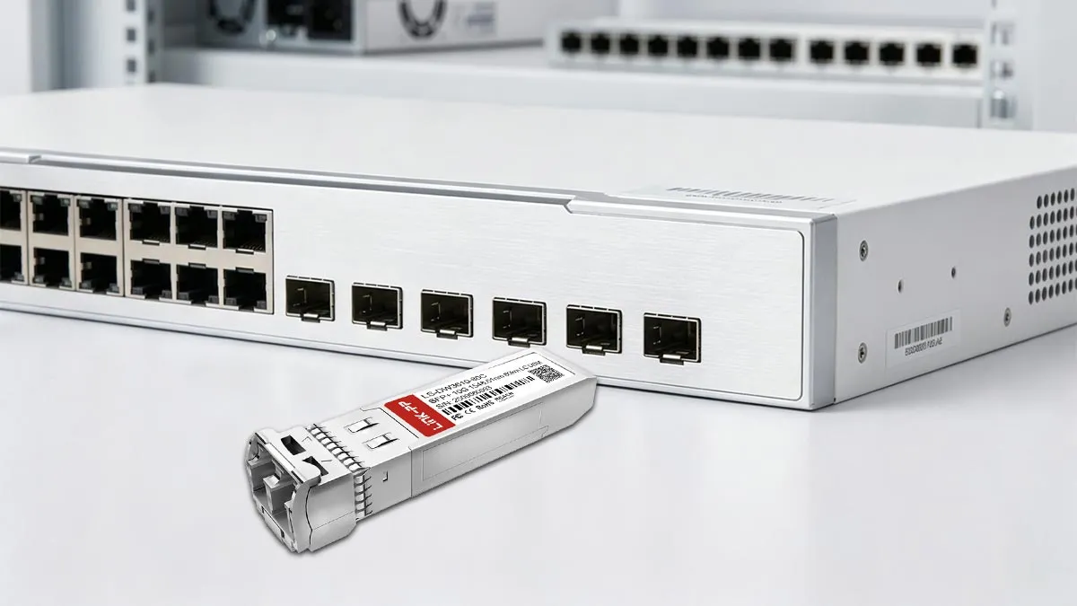 LINK-PP LS-DW3610-80C 10G SFP+ Usage Demonstration