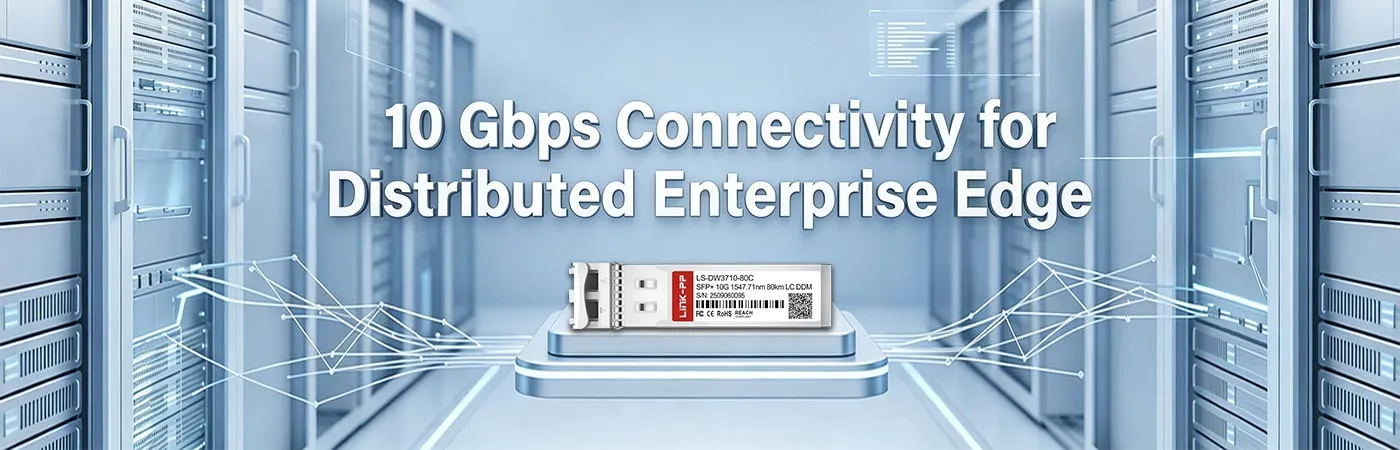 LS-DW3710-80C: 10 Gbps Connectivity for Distributed Enterprise Edge