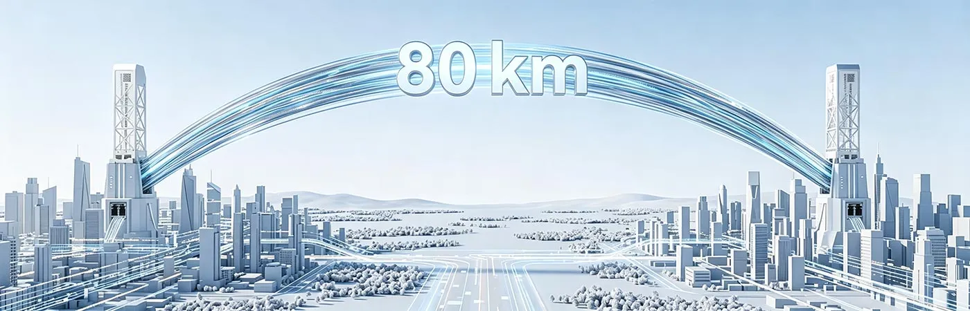LS-DW3810-80C Module Supporting 80km Transmission