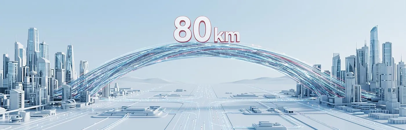 LS-DW3910-80C Module Supporting 80km Transmission