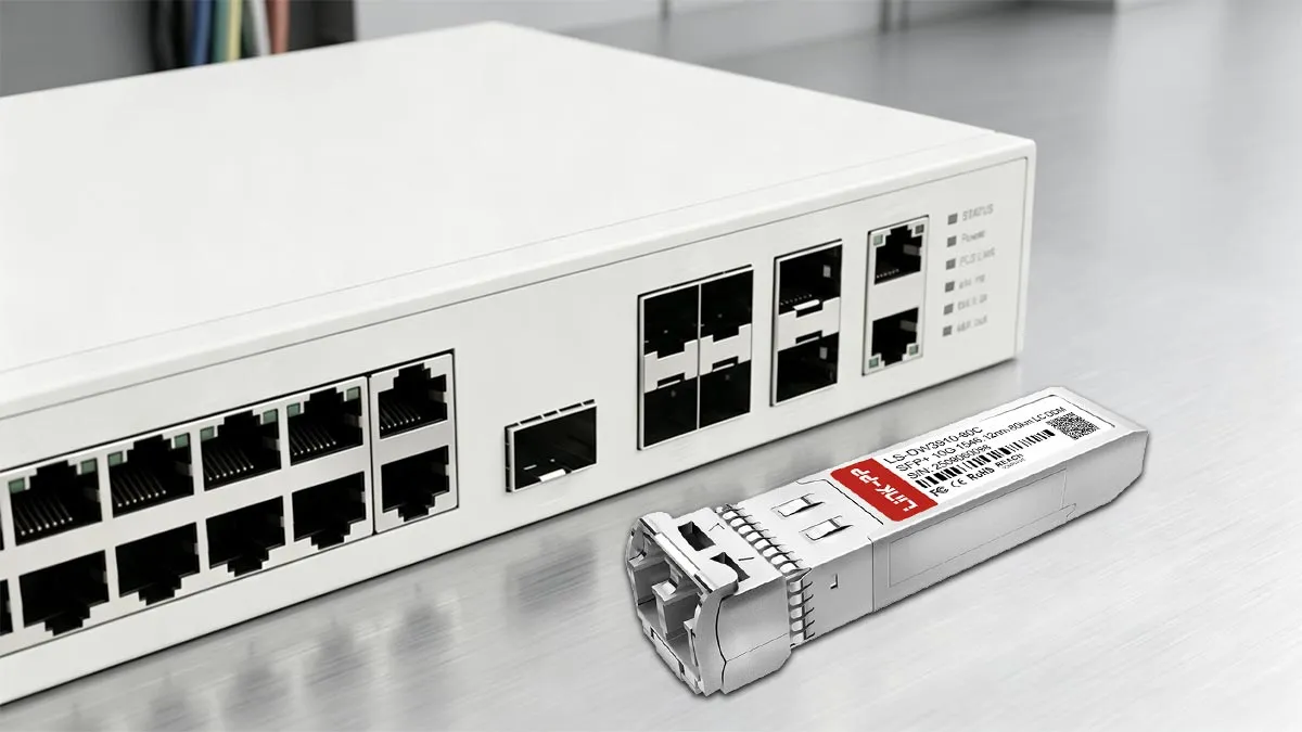 LINK-PP LS-DW3910-80C 10G SFP+ Usage Demonstration
