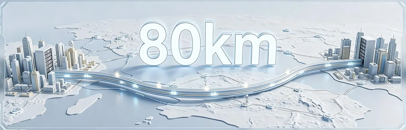 LS-DW4110-80C Module Supporting 80km Transmission