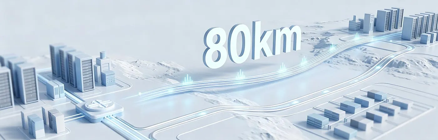 LS-DW4210-80C Module Supporting 80km Transmission