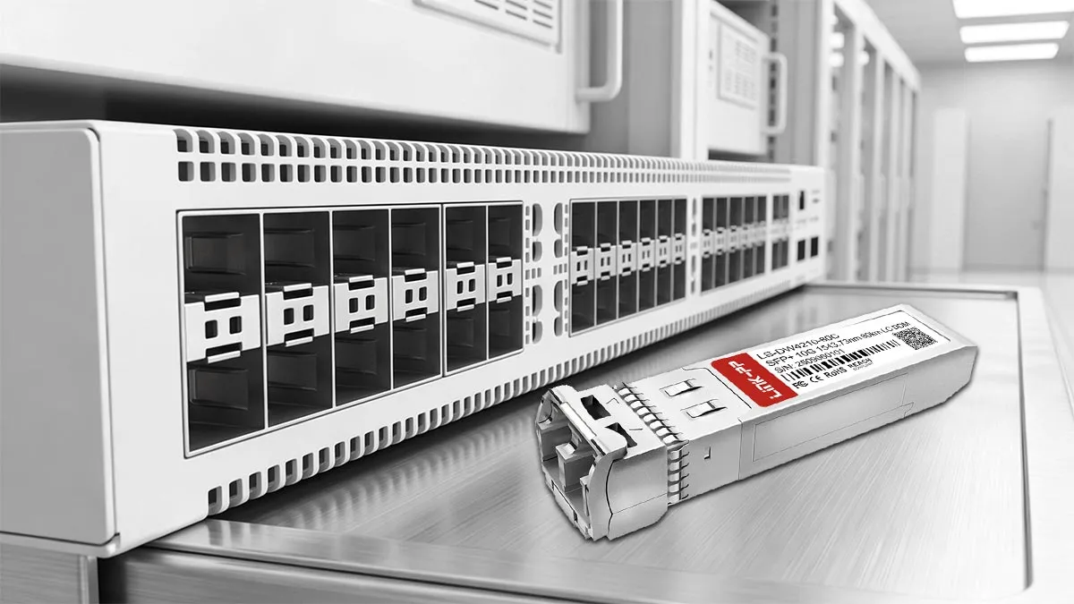 LINK-PP LS-DW4210-80C 10G SFP+ Usage Demonstration