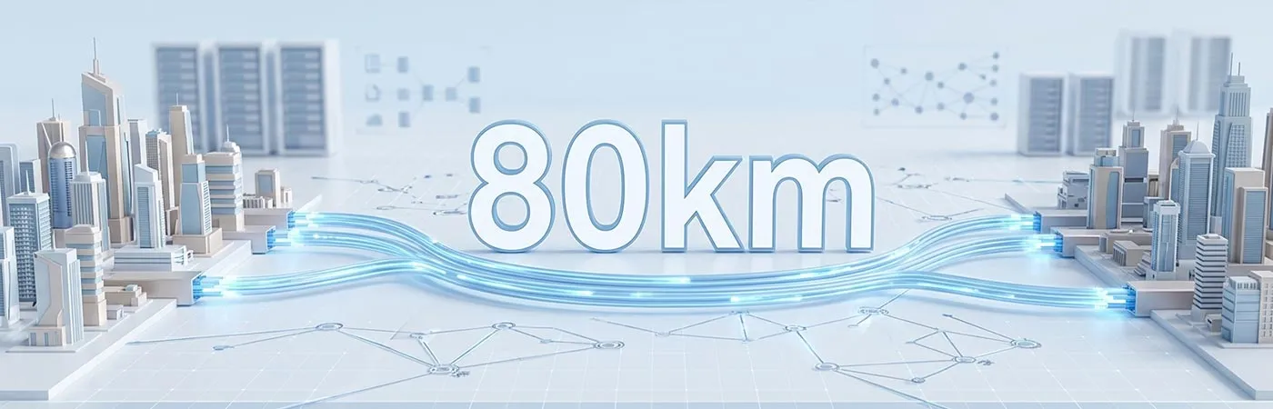 LS-DW4410-80C Module Supporting 80km Transmission