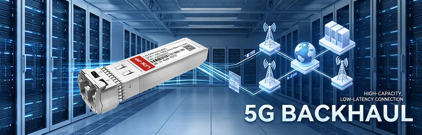 LS-DW1910-80C: 10G Connectivity for 5G Backhaul