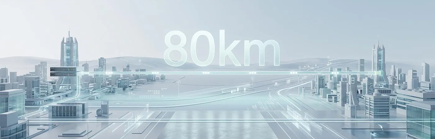 LS-DW4310-80C Module Supporting 80km Transmission