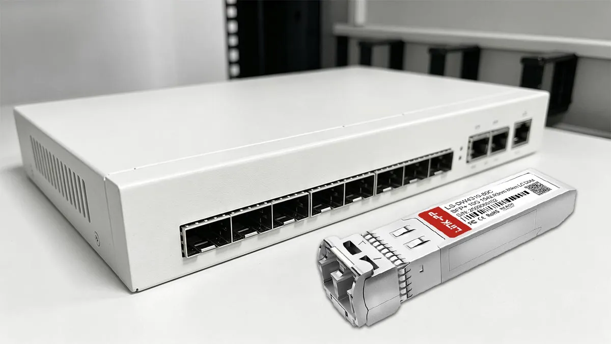 LINK-PP LS-DW4310-80C 10G SFP+ Usage Demonstration