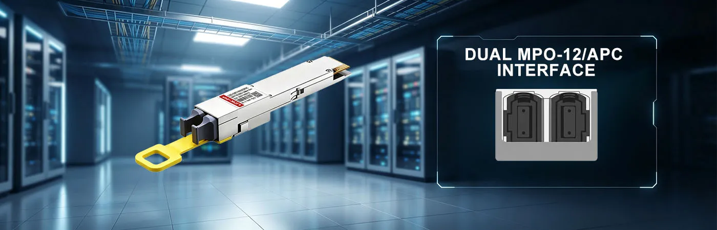 QDD-XDR8-800G Module with Dual MPO-12/APC Interface
