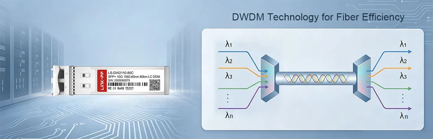 DWDM-SFP10G-60.61-80 Module with DWDM Technology for Fiber Efficiency