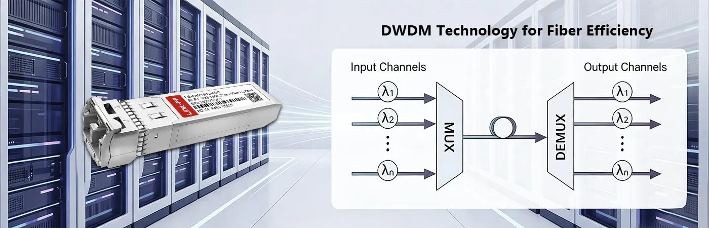 Module LS-DW1910-40C avec technologie DWDM pour une efficacité de fibre optique optimale