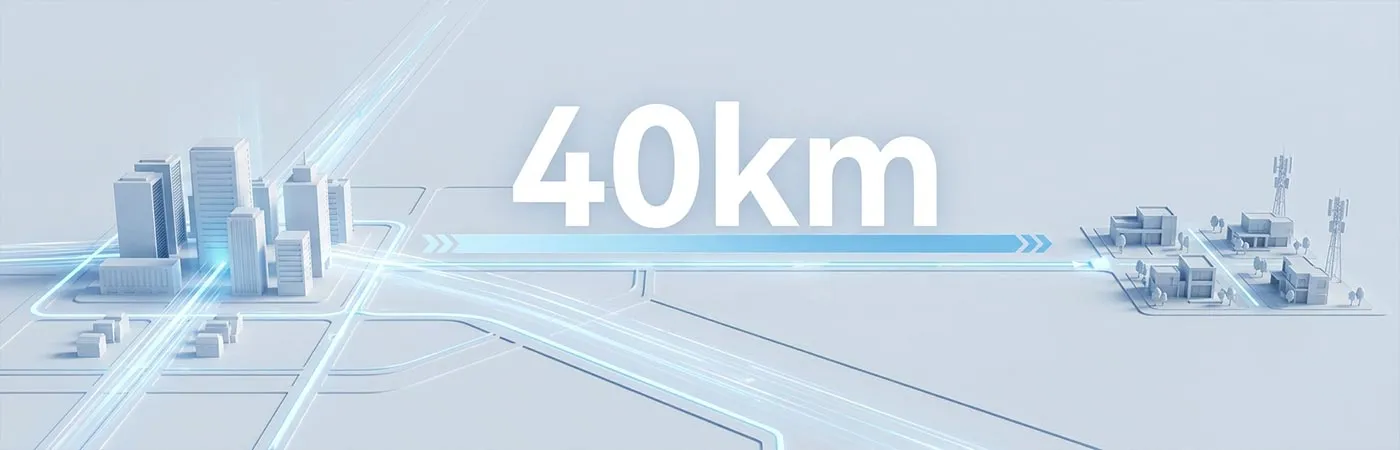 LS-DW2110-40C Module Supporting 40km Transmission