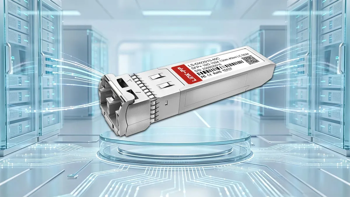 LINK-PP LS-DW2910-40C C29 10G SFP+ 사양