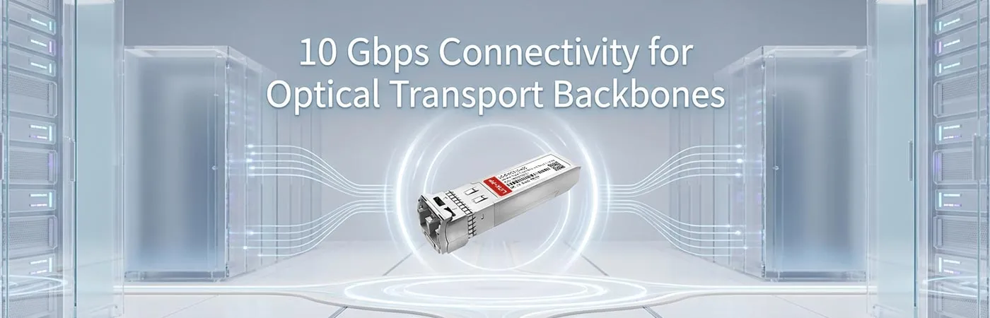LS-DW3310-40C: 10 Gbps Connectivity for Optical Transport Backbones