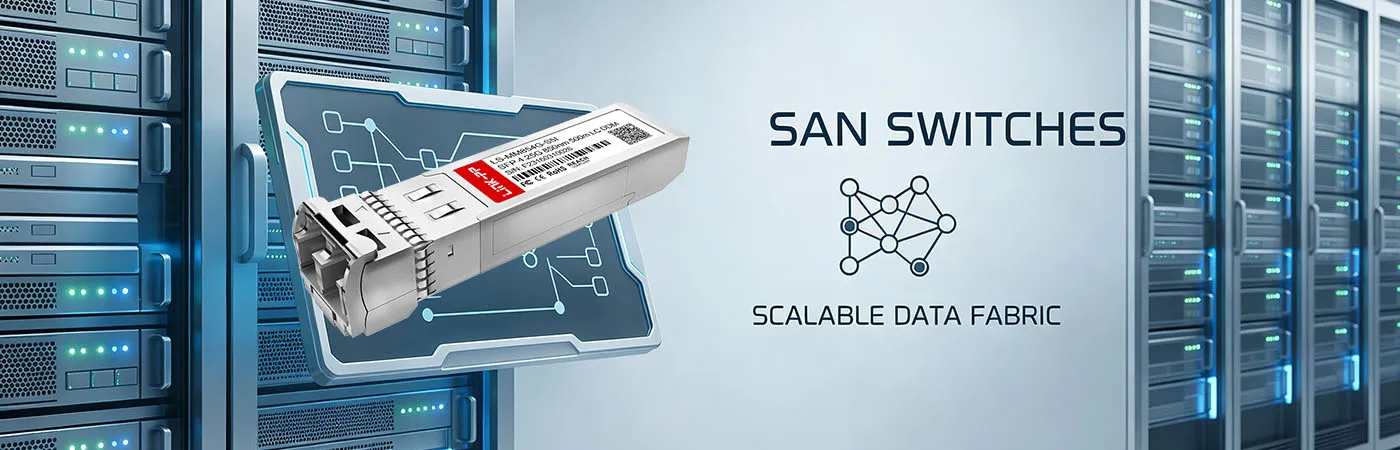 LS-MM854G-S5I: 4.25G Connectivity for SAN Switches