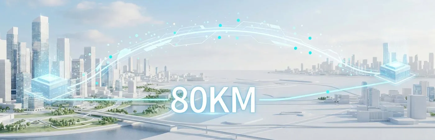 LS-DW2510-80I Module Supporting 80km Transmission