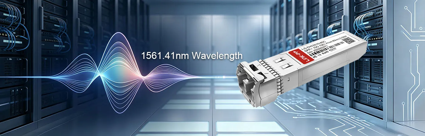 LS-DW2010-80C Module with 1561.41nm Wavelength