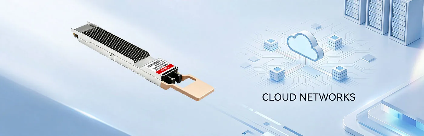LO-DM85800B-SR8C: 800G Connectivity for Cloud Networks