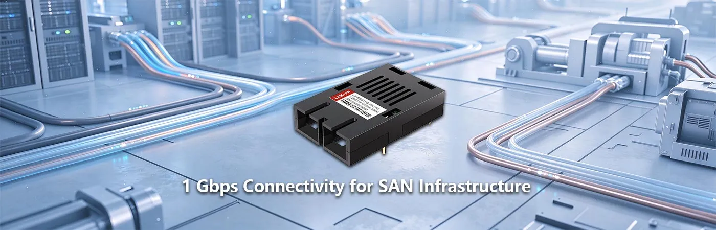 L9-SD311G-20CTC: 1 Gbps Connectivity for SAN Infrastructure