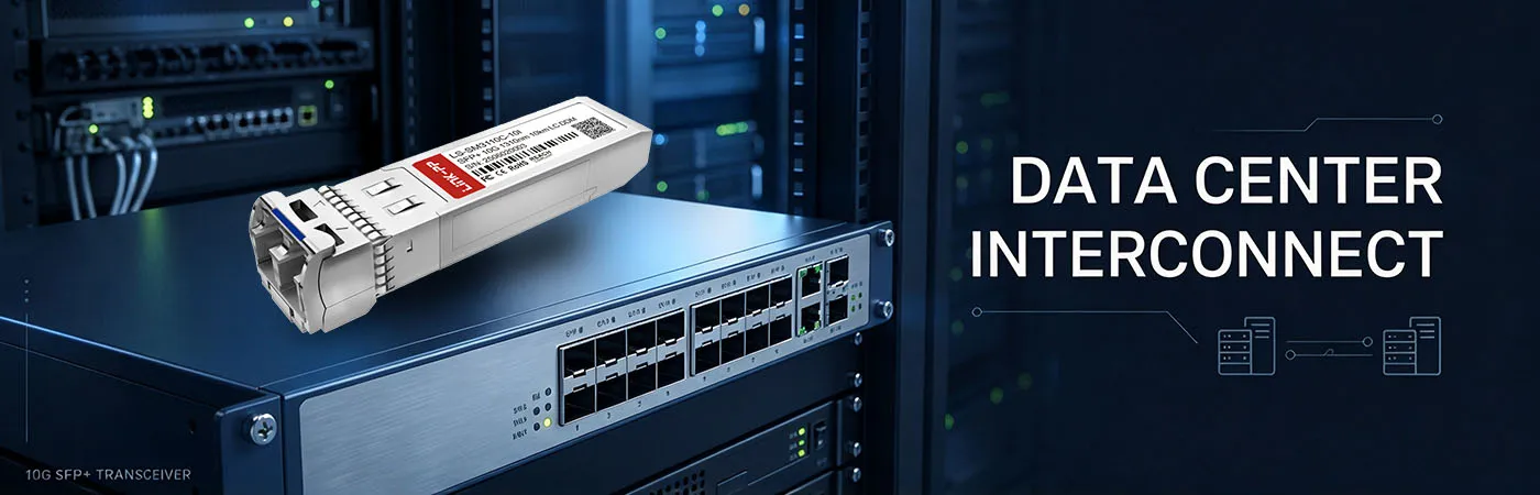 LS-SM3110C-10I: 10G Connectivity for Data Center Interconnect