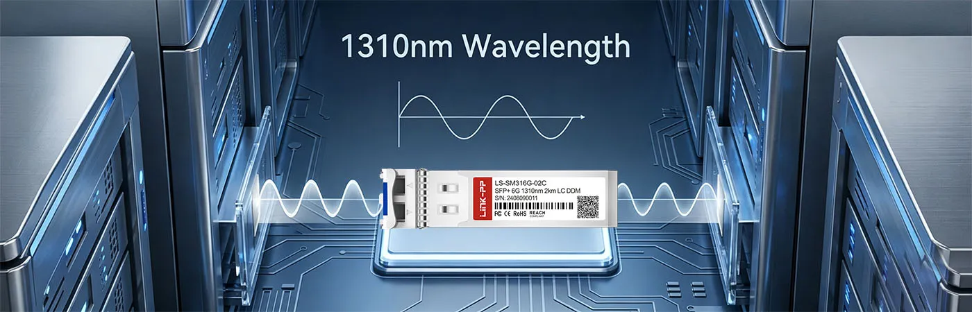 LS-SM316G-02C Module with 1310nm Wavelength