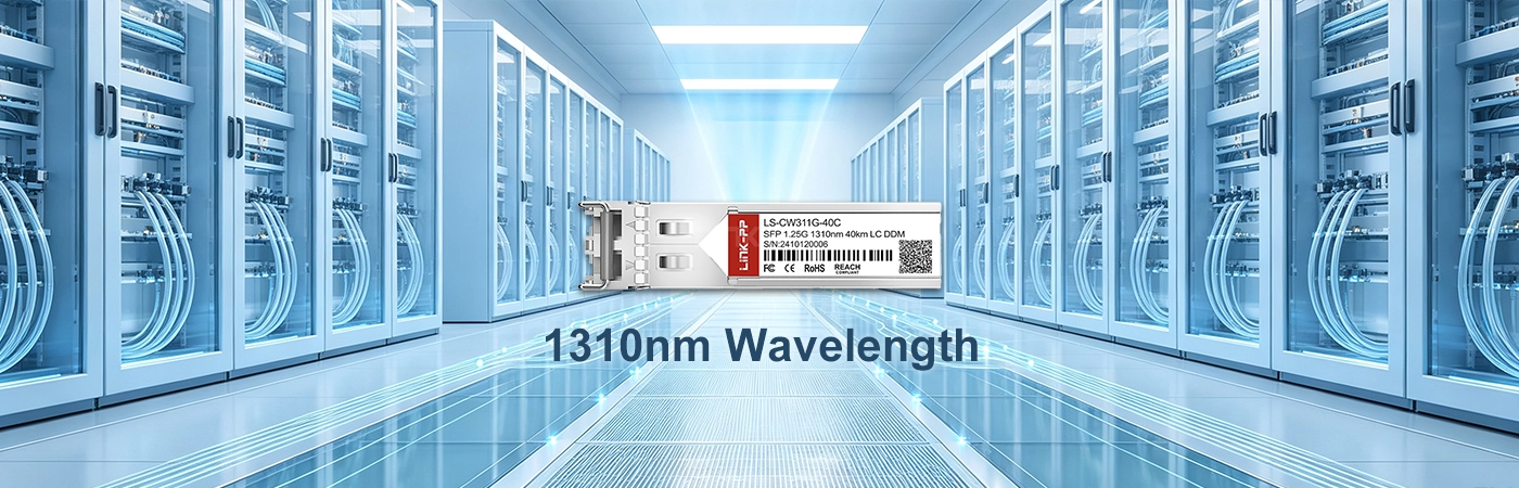LS-CW311G-40C Module with 1310nm Wavelength