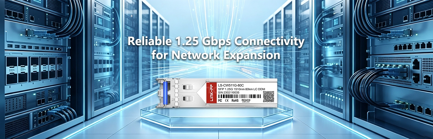 LS-CW511G-80C: Reliable 1.25 Gbps Connectivity for Network Expansion